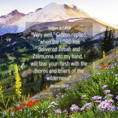 Picture 04 - Judges 8:7 BSB - “Very well,” Gideon replied, “when the LORD - Bible Verse Picture