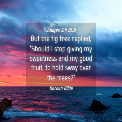 Picture 04 - Judges 9:11 BSB - But the fig tree replied, ‘Should I stop giving - Bible Verse Picture