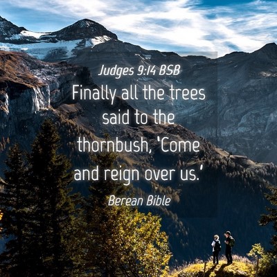 Picture 04 - Judges 9:14 BSB - Finally all the trees said to the thornbush, - Bible Verse Picture