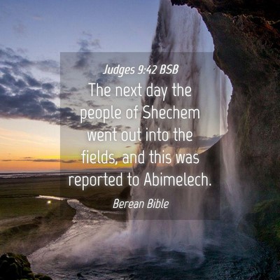 Picture 04 - Judges 9:42 BSB - The next day the people of Shechem went out into - Bible Verse Picture