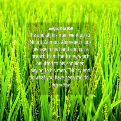 Picture 04 - Judges 9:48 BSB - he and all his men went up to Mount Zalmon. - Bible Verse Picture
