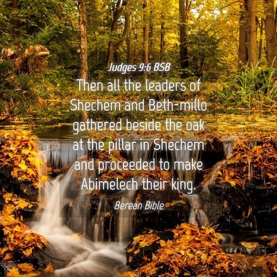Picture 04 - Judges 9:6 BSB - Then all the leaders of Shechem and Beth-millo - Bible Verse Picture