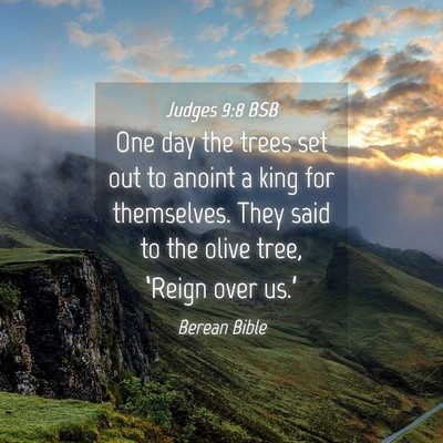 Picture 04 - Judges 9:8 BSB - One day the trees set out to anoint a king for - Bible Verse Picture