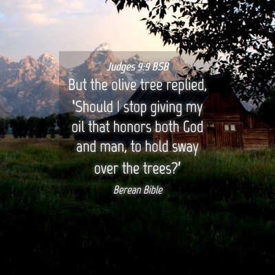 Picture 04 - Judges 9:9 BSB - But the olive tree replied, ‘Should I stop - Bible Verse Picture
