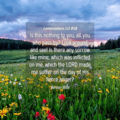 Picture 04 - Lamentations 1:12 BSB - Is this nothing to you, all you who pass by? Look - Bible Verse Picture