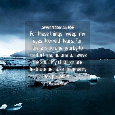 Picture 04 - Lamentations 1:16 BSB - For these things I weep; my eyes flow with tears. - Bible Verse Picture