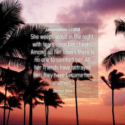 Picture 04 - Lamentations 1:2 BSB - She weeps aloud in the night, with tears upon her - Bible Verse Picture