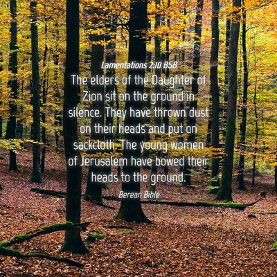 Picture 04 - Lamentations 2:10 BSB - The elders of the Daughter of Zion sit on the - Bible Verse Picture