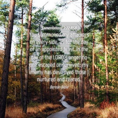 Picture 04 - Lamentations 2:22 BSB - You summoned my attackers on every side, as for - Bible Verse Picture