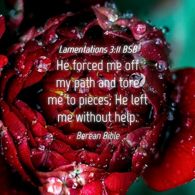 Picture 04 - Lamentations 3:11 BSB - He forced me off my path and tore me to pieces; - Bible Verse Picture