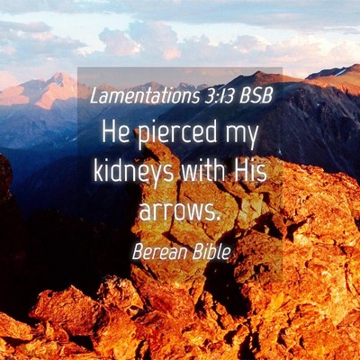 Picture 04 - Lamentations 3:13 BSB - He pierced my kidneys with His - Bible Verse Picture
