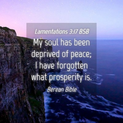 Picture 04 - Lamentations 3:17 BSB - My soul has been deprived of peace; I have - Bible Verse Picture