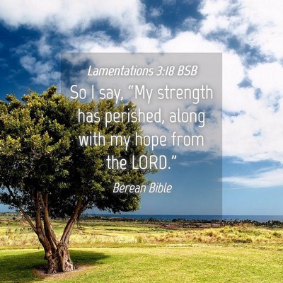 Picture 04 - Lamentations 3:18 BSB - So I say, “My strength has perished, along with - Bible Verse Picture