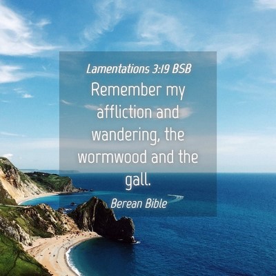 Picture 04 - Lamentations 3:19 BSB - Remember my affliction and wandering, the - Bible Verse Picture