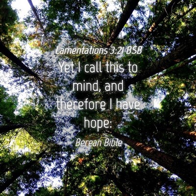 Picture 04 - Lamentations 3:21 BSB - Yet I call this to mind, and therefore I have - Bible Verse Picture