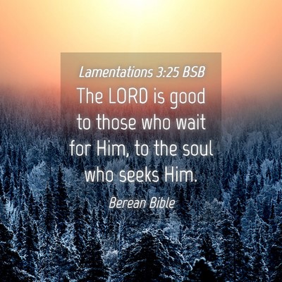 Picture 04 - Lamentations 3:25 BSB - The LORD is good to those who wait for Him, to - Bible Verse Picture