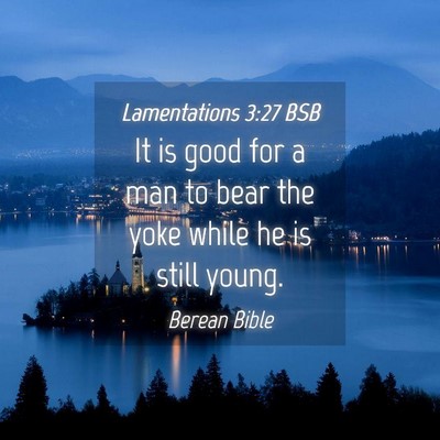 Picture 04 - Lamentations 3:27 BSB - It is good for a man to bear the yoke while he is - Bible Verse Picture