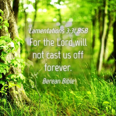 Picture 04 - Lamentations 3:31 BSB - For the Lord will not cast us off - Bible Verse Picture