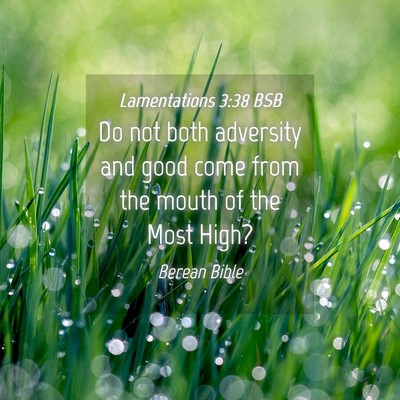 Picture 04 - Lamentations 3:38 BSB - Do not both adversity and good come from the - Bible Verse Picture