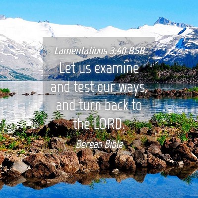 Picture 04 - Lamentations 3:40 BSB - Let us examine and test our ways, and turn back - Bible Verse Picture