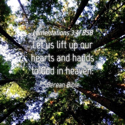 Picture 04 - Lamentations 3:41 BSB - Let us lift up our hearts and hands to God in - Bible Verse Picture