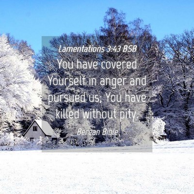 Picture 04 - Lamentations 3:43 BSB - You have covered Yourself in anger and pursued - Bible Verse Picture