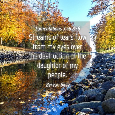 Picture 04 - Lamentations 3:48 BSB - Streams of tears flow from my eyes over the - Bible Verse Picture