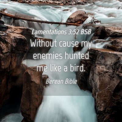 Picture 04 - Lamentations 3:52 BSB - Without cause my enemies hunted me like a - Bible Verse Picture