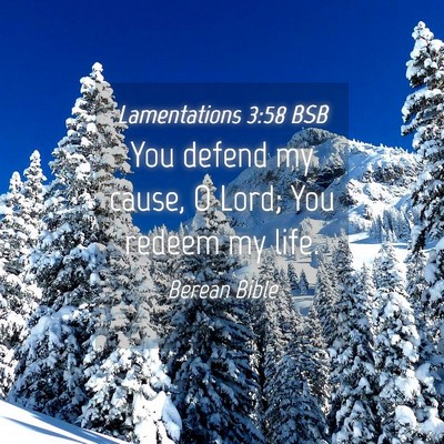 Picture 04 - Lamentations 3:58 BSB - You defend my cause, O Lord; You redeem my - Bible Verse Picture
