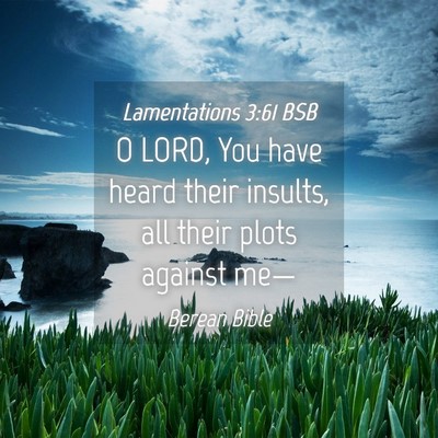 Picture 04 - Lamentations 3:61 BSB - O LORD, You have heard their insults, all their - Bible Verse Picture