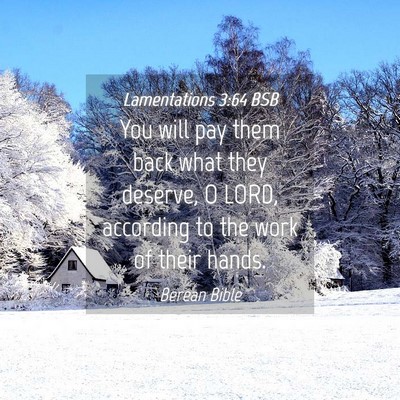 Picture 04 - Lamentations 3:64 BSB - You will pay them back what they deserve, O LORD, - Bible Verse Picture