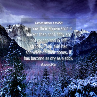 Picture 04 - Lamentations 4:8 BSB - But now their appearance is blacker than soot; - Bible Verse Picture