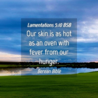 Picture 04 - Lamentations 5:10 BSB - Our skin is as hot as an oven with fever from our - Bible Verse Picture