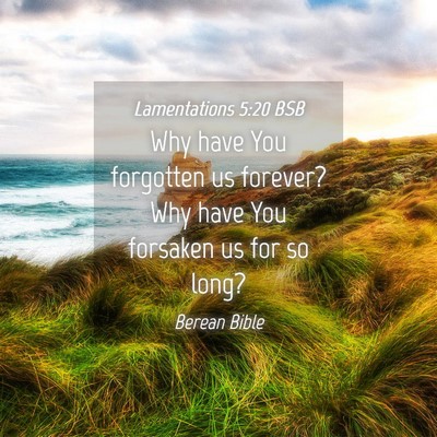 Picture 04 - Lamentations 5:20 BSB - Why have You forgotten us forever? Why have You - Bible Verse Picture