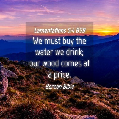 Picture 04 - Lamentations 5:4 BSB - We must buy the water we drink; our wood comes at - Bible Verse Picture