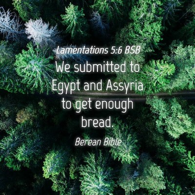 Picture 04 - Lamentations 5:6 BSB - We submitted to Egypt and Assyria to get enough - Bible Verse Picture