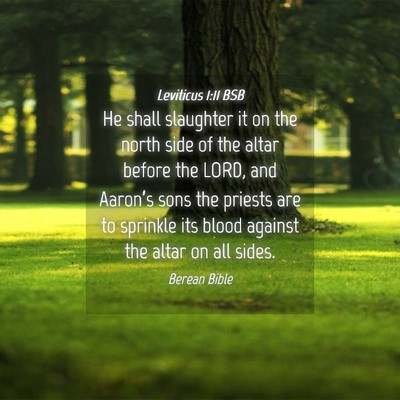 Picture 04 - Leviticus 1:11 BSB - He shall slaughter it on the north side of the - Bible Verse Picture