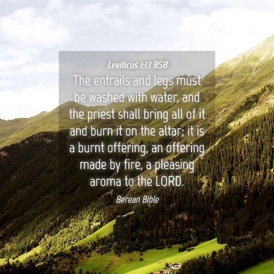 Picture 04 - Leviticus 1:13 BSB - The entrails and legs must be washed with water, - Bible Verse Picture