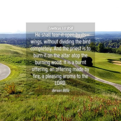 Picture 04 - Leviticus 1:17 BSB - He shall tear it open by its wings, without - Bible Verse Picture