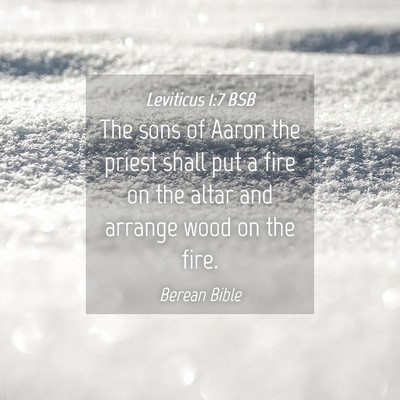 Picture 04 - Leviticus 1:7 BSB - The sons of Aaron the priest shall put a fire on - Bible Verse Picture