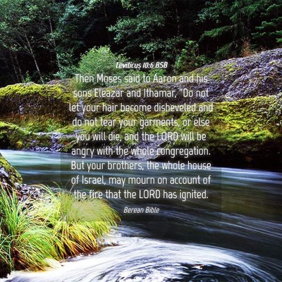 Picture 04 - Leviticus 10:6 BSB - Then Moses said to Aaron and his sons Eleazar and - Bible Verse Picture