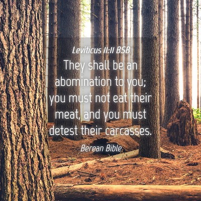 Picture 04 - Leviticus 11:11 BSB - They shall be an abomination to you; you must not - Bible Verse Picture