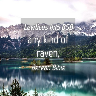 Picture 04 - Leviticus 11:15 BSB - any kind of - Bible Verse Picture