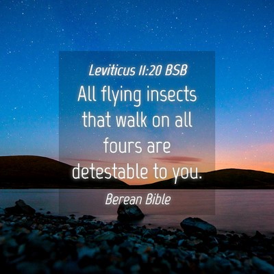 Picture 04 - Leviticus 11:20 BSB - All flying insects that walk on all fours are - Bible Verse Picture