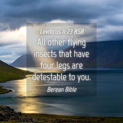 Picture 04 - Leviticus 11:23 BSB - All other flying insects that have four legs are - Bible Verse Picture