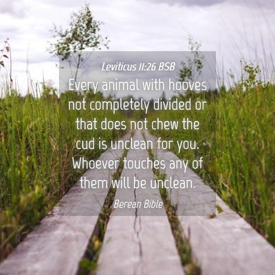 Picture 04 - Leviticus 11:26 BSB - Every animal with hooves not completely divided - Bible Verse Picture