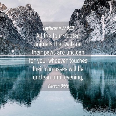 Picture 04 - Leviticus 11:27 BSB - All the four-footed animals that walk on their - Bible Verse Picture