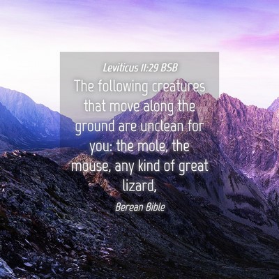 Picture 04 - Leviticus 11:29 BSB - The following creatures that move along the - Bible Verse Picture