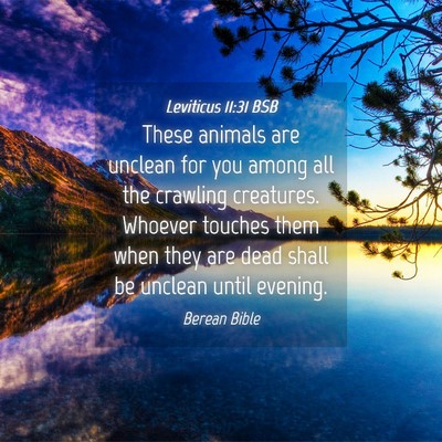 Picture 04 - Leviticus 11:31 BSB - These animals are unclean for you among all the - Bible Verse Picture