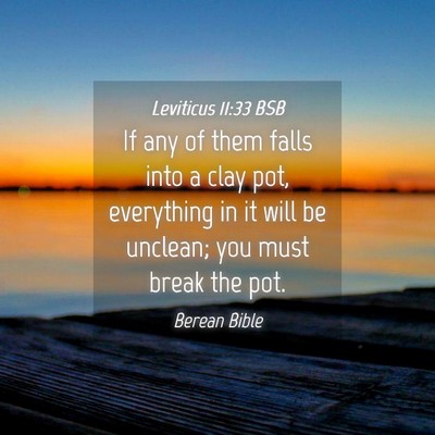 Picture 04 - Leviticus 11:33 BSB - If any of them falls into a clay pot, everything - Bible Verse Picture
